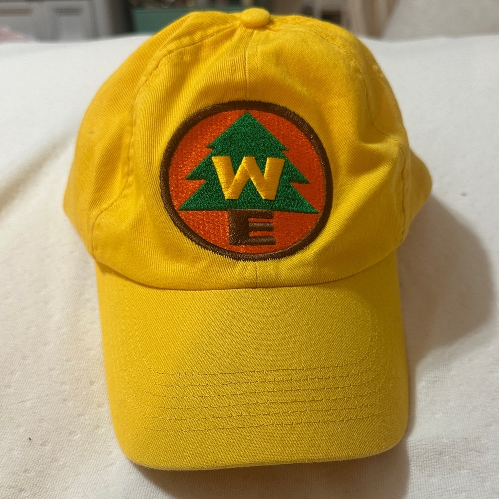 Disney Wilderness Explorer Hat - image 1